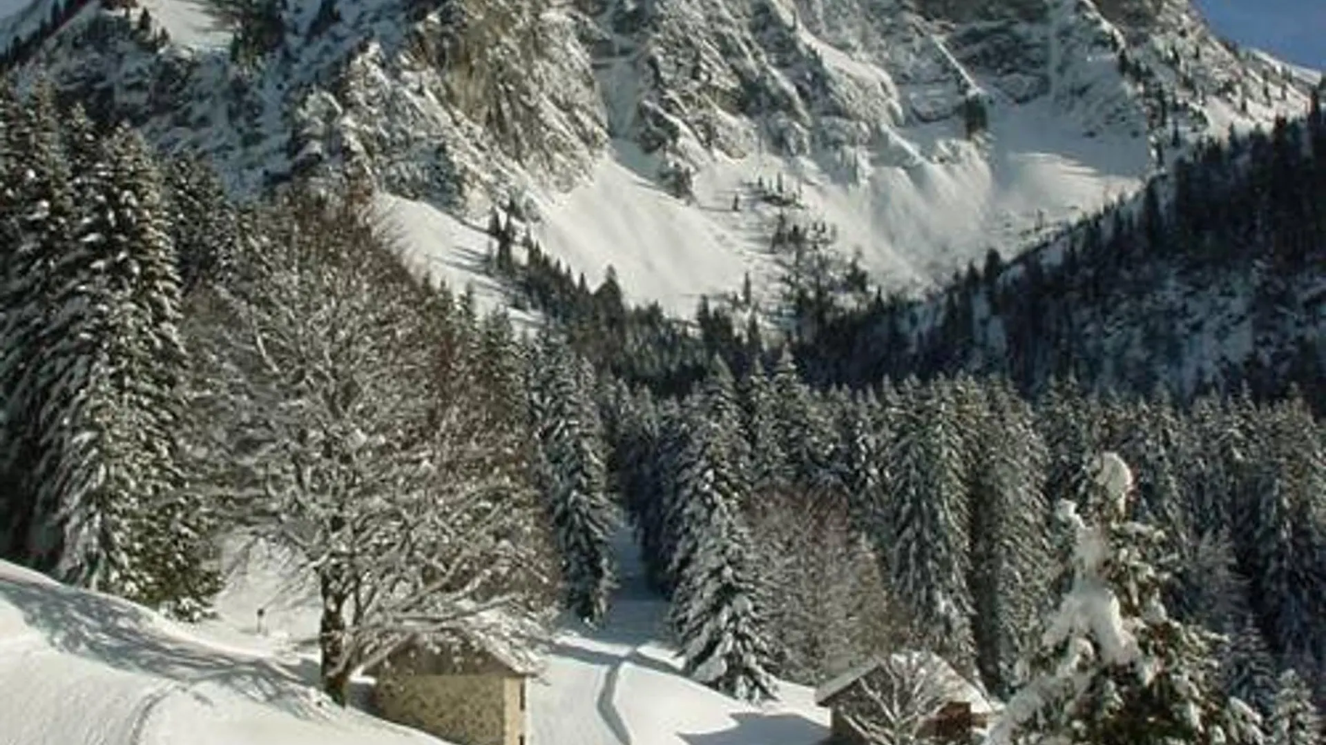 Saint-Jean-dʼAulps 2 Pieces Cabine Pres Des Pistes - Parking - Vue Montagne - Fr-1-573-40 דירה